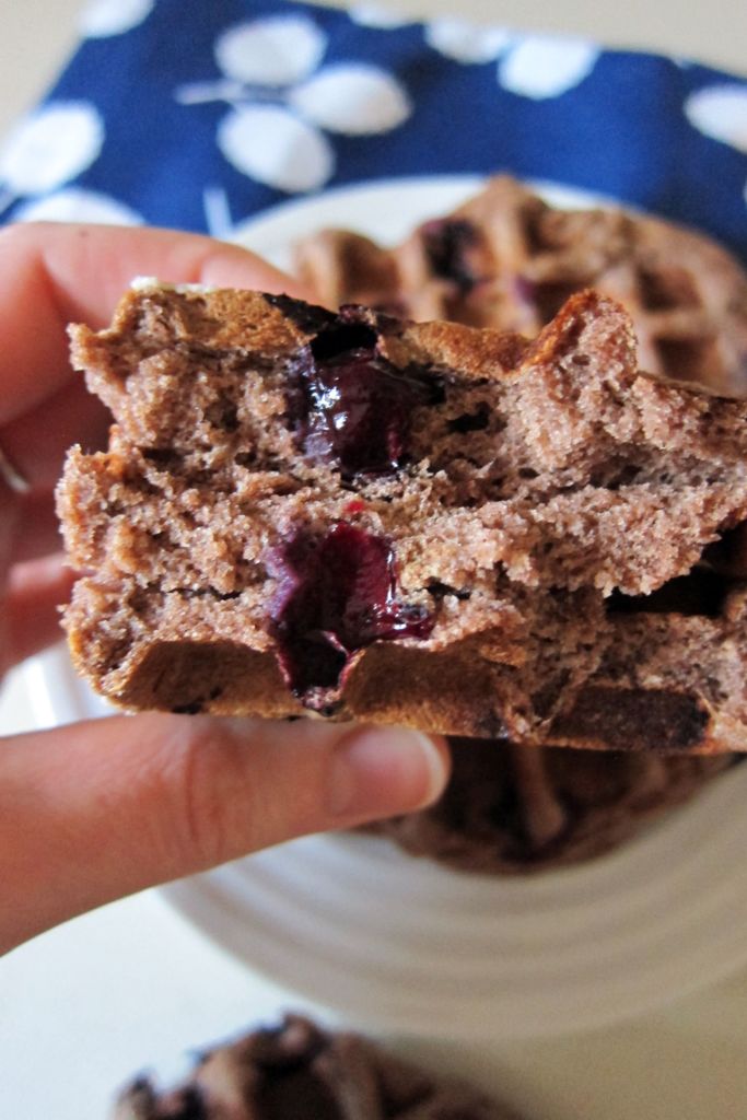 Teff and Spelt Blueberry Waffles | Accidental Artisan