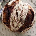 One loaf of cinnamon raisin no knead spelt bread cooling on a wire rack with a blue and white kitchen towel nearby