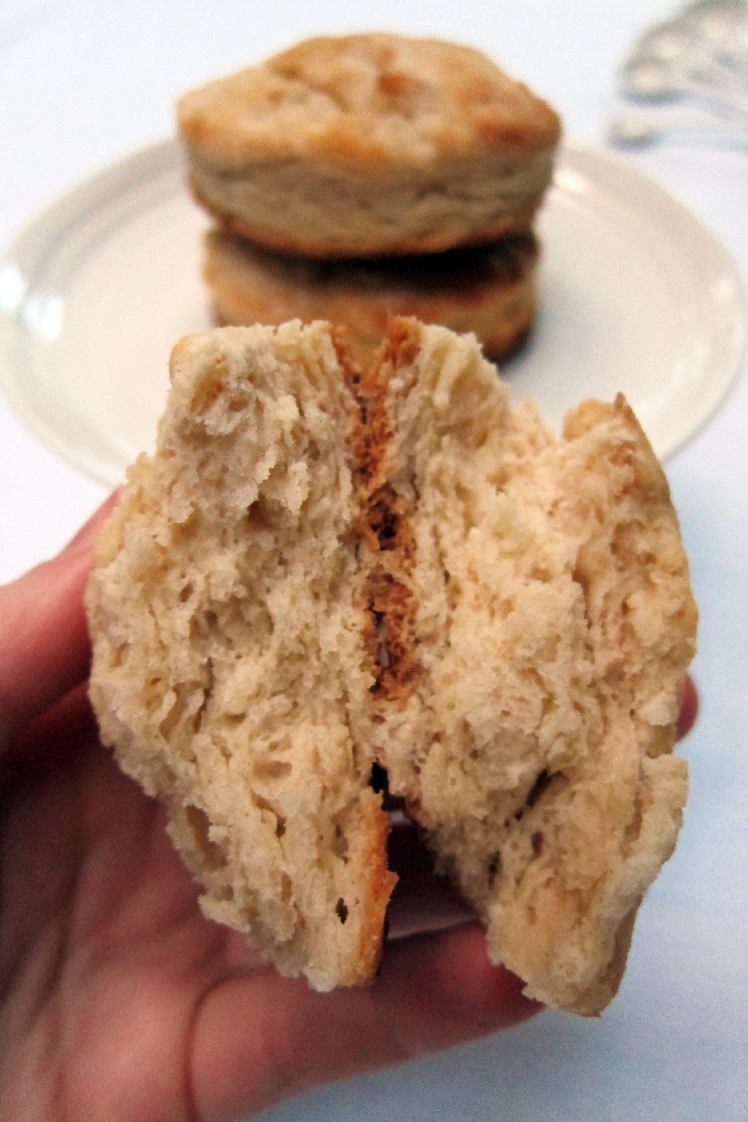 Buttermilk Spelt Biscuits | Accidental Artisan